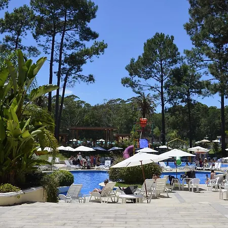 Apartment - Apartamento Francesc Cambo Lloret de Mar